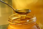 تولید سالانه بیش از 3 هزار تن عسل در خراسان شمالی