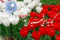 خراسان شمالی در انتظار تدفین ۶شهیدگمنام دفاع مقدس