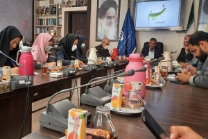 اجرایی شدن۲۴۰ عنوان برنامه&zwnj;فرهنگی در تابستان امسال