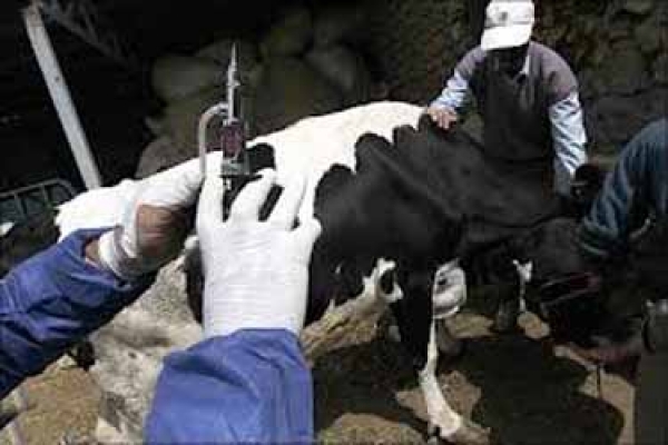 هشدار دامپزشکی خراسان شمالی به دامداران