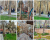 پارک شهر بجنورد؛ پناهگاهی برای آرامش و هم&zwnj;نشینی مردم