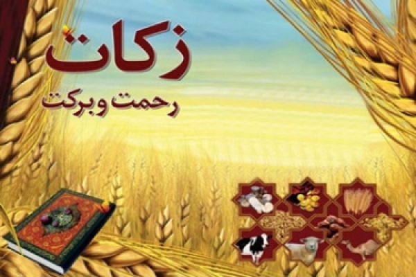 تحقق ۱۱۳ درصدی برنامه های ستاد زکات کشور در خراسان شمالی