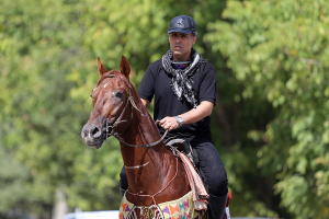 کاروان سوارکاران بجنورد در راه مشهد الرضا(ع)