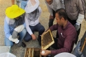 ایجاد یکهزار شغل با تسهیلات بسیج سازندگی در خراسان شمالی