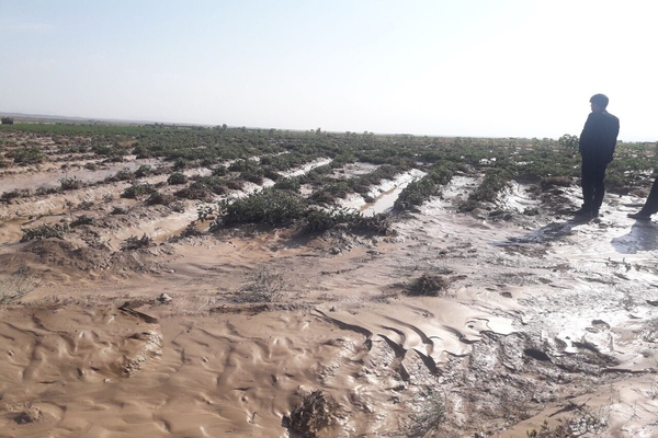 خسارت بیش از ۹ هزار میلیارد ریالی حوادث طبیعی