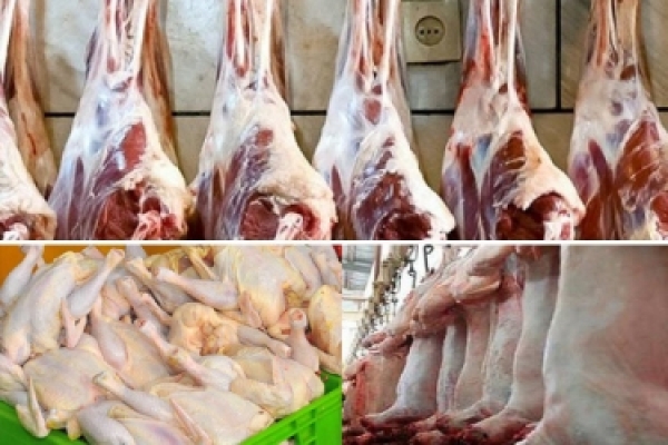 کشتار دام سبک در خراسان شمالی ۲۱ درصد افزایش یافت