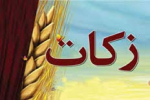 پرداخت ۱۴ میلیارد ریال زکات فطریه توسط مردم استان