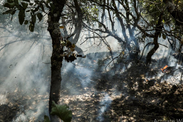 مهار آتش&zwnj;سوزی در پارک ملی گلستان
