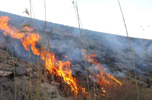 مهار آتش&zwnj;سوزی درمنطقه گلیل خراسان شمالی