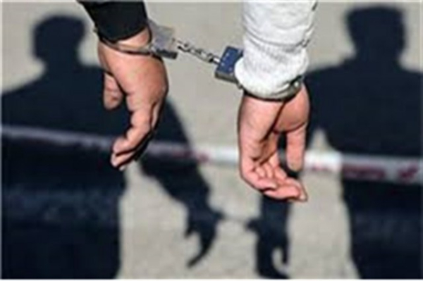 دستگیری ۲۸ نفر سارق و مالخر در بجنورد