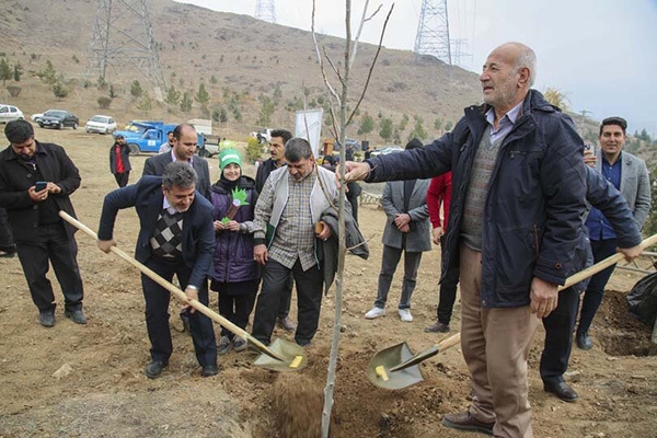 اجرای تفاهم&zwnj;نامه سبز در بجنورد؛ تولید سالانه ۱۵۰ هزار اصله نهال