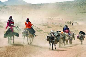 تخصیص اعتبار 13 میلیارد تومانی به امور عشایر خراسان&zwnj;شمالی