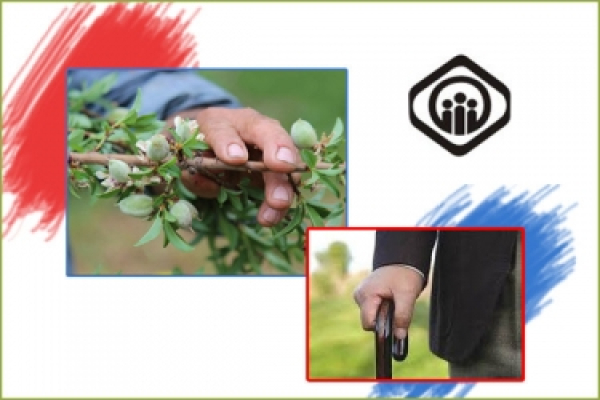 افزایش مستمری&zwnj;بگیران تامین اجتماعی خراسان شمالی