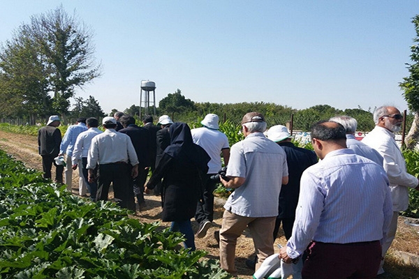 ۱۱۰۰ مددکار ترویجی در خدمت کشاورزی خراسان شمالی