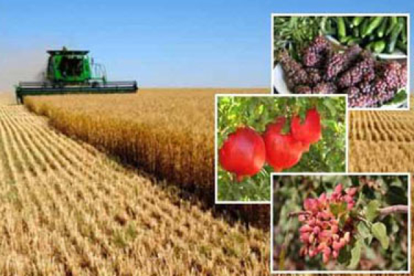 ۴۲ طرح کشاورزی خراسان شمالی آماده بهره&zwnj;برداری است