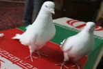 خراسان&zwnj;شمالی میزبان ۶ شهید گمنام