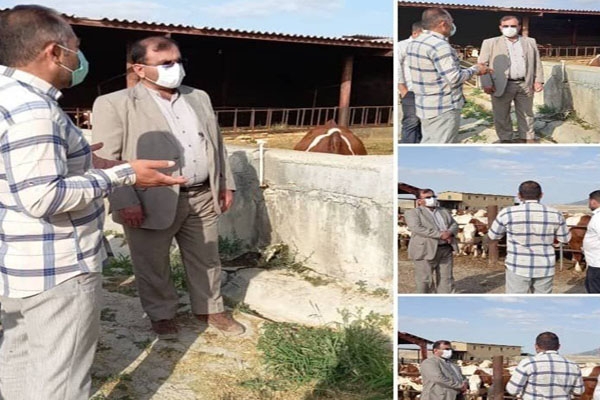 بازدید معاون عمرانی استاندار از بهکده رضوی