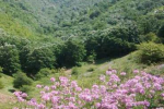 نگاهی به جاذبه های گردشگری مانه و سملقان