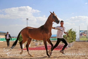 گزارش تصویری از مسابقات زیبایی است در بجنورد