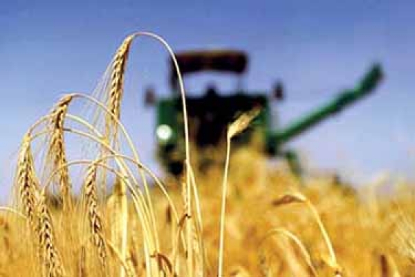 آغاز برداشت غلات از مزارع خراسان شمالی
